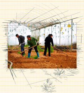 Κίνα-PBOC: Δράση για την αποτροπή επιστροφής στην φτώχεια των κατοίκων αγροτικών περιοχών