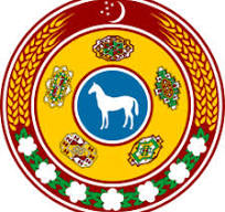 Xi Jinping and Berdymuhamedov Sr. Discuss Expansion of China-Turkmenistan Partnership
