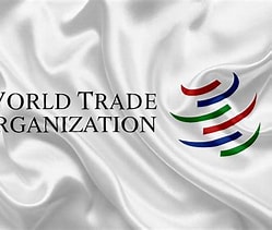 EU too slow to act as China rewrites global trade rules, trade chief Sefcovic warns