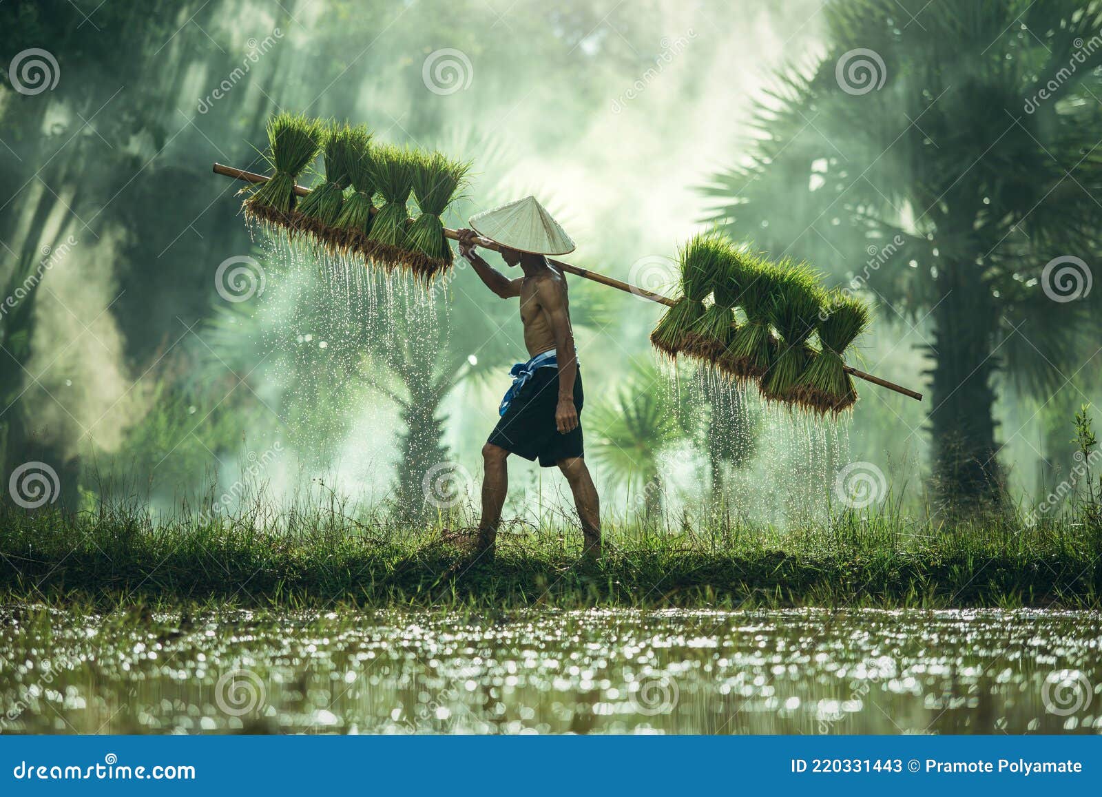 Δεκάδες χιλιάδες Ασιάτες μετανάστες στο στόχαστρο της Ελλάδας για εργασία