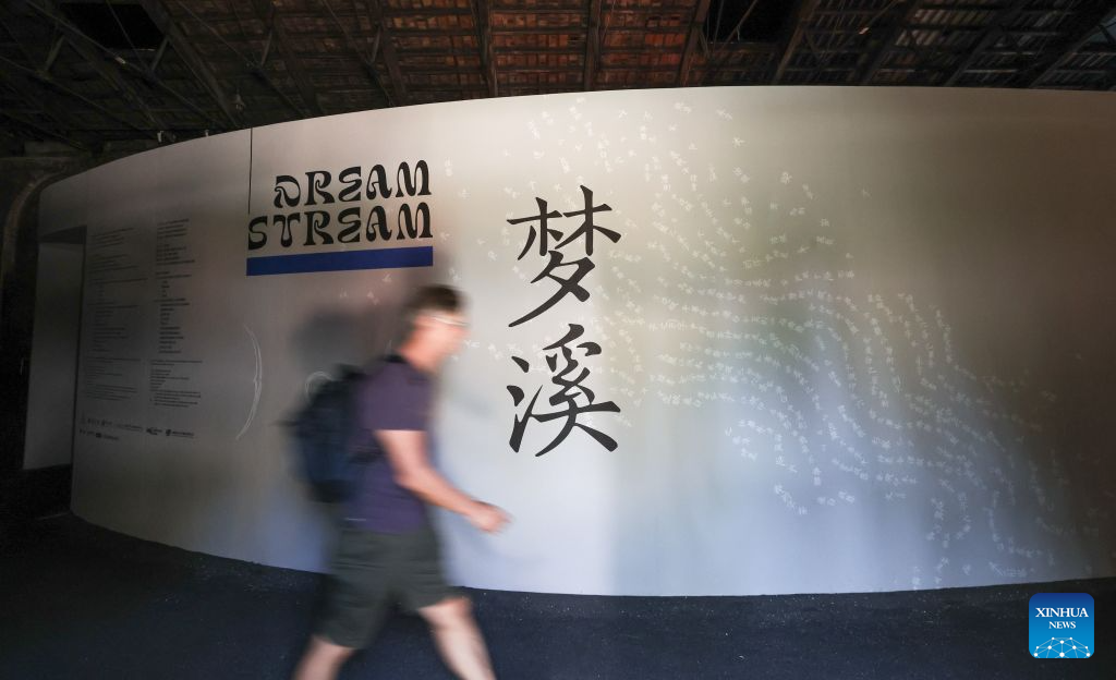 A glimpse of China pavilion at 61st Venice art biennale