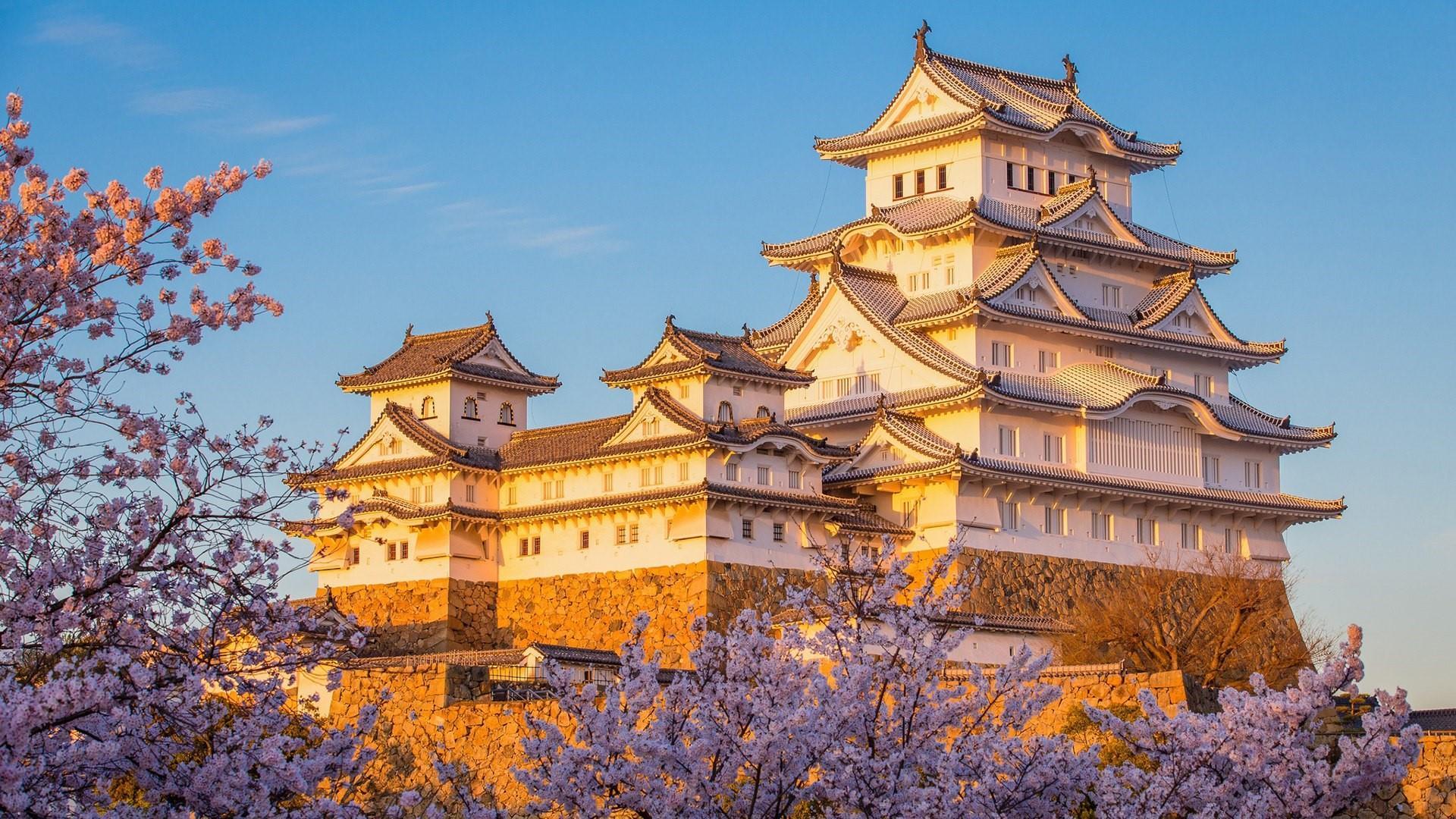 No Comment: Video. More than 1,000 volunteers pull historic castle back to its original site in Japan