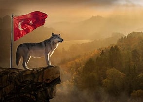 OTS Faces Security Test from Turkey to Central Asia